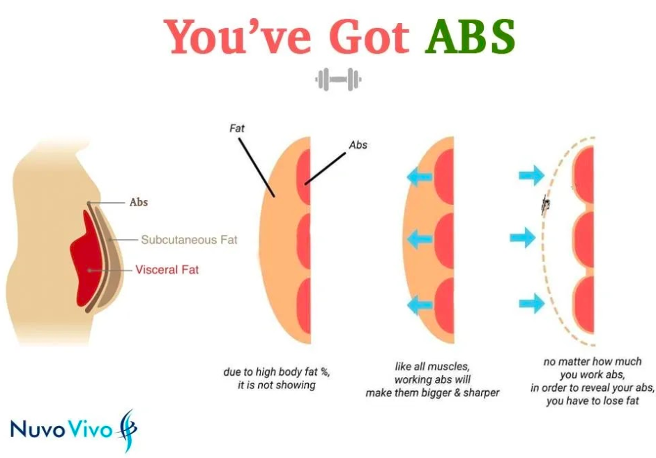 Abs-6-pack