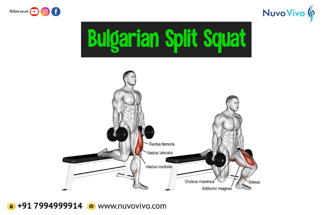 Bulgarian-Split-Squats