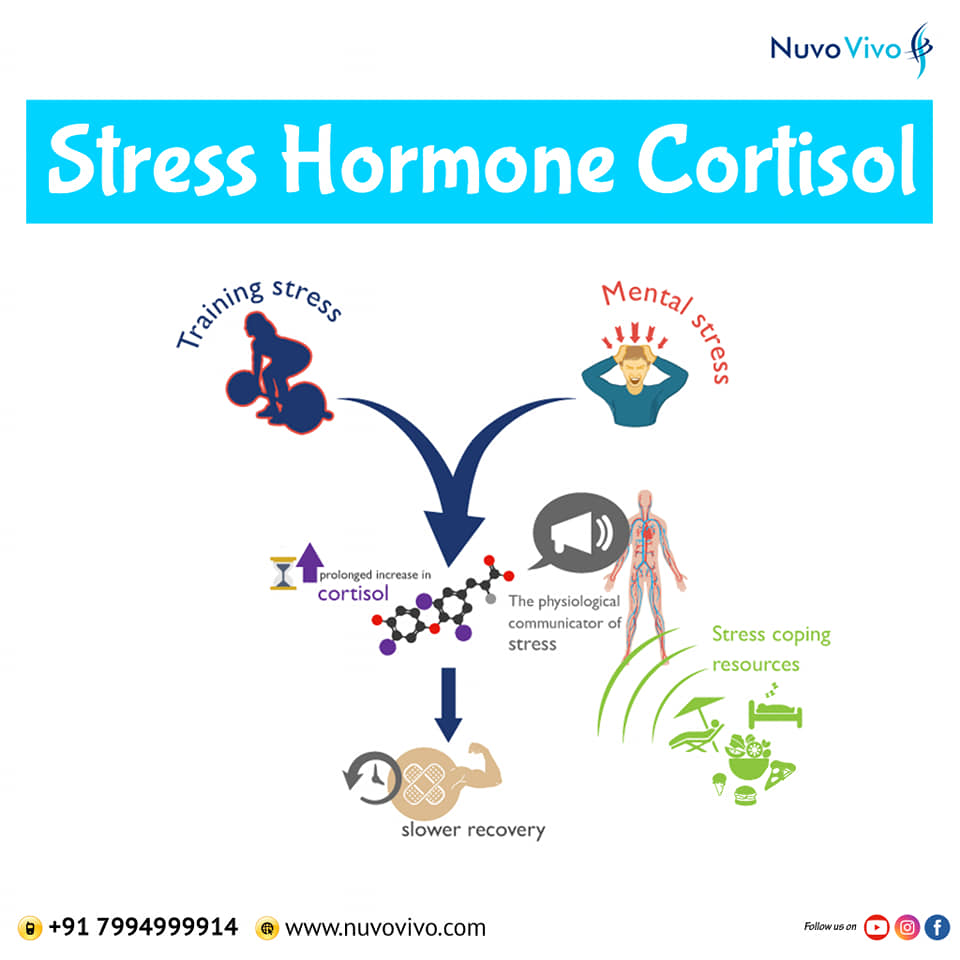 Cortisol-Stress-Hormone-weight-gain