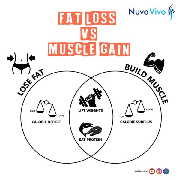 What is the difference between Fat Loss Vs Muscle Gain - NuvoVivo ...
