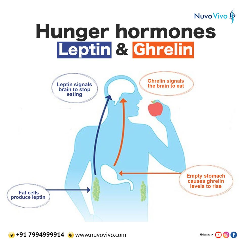 Hunger-and-hormones