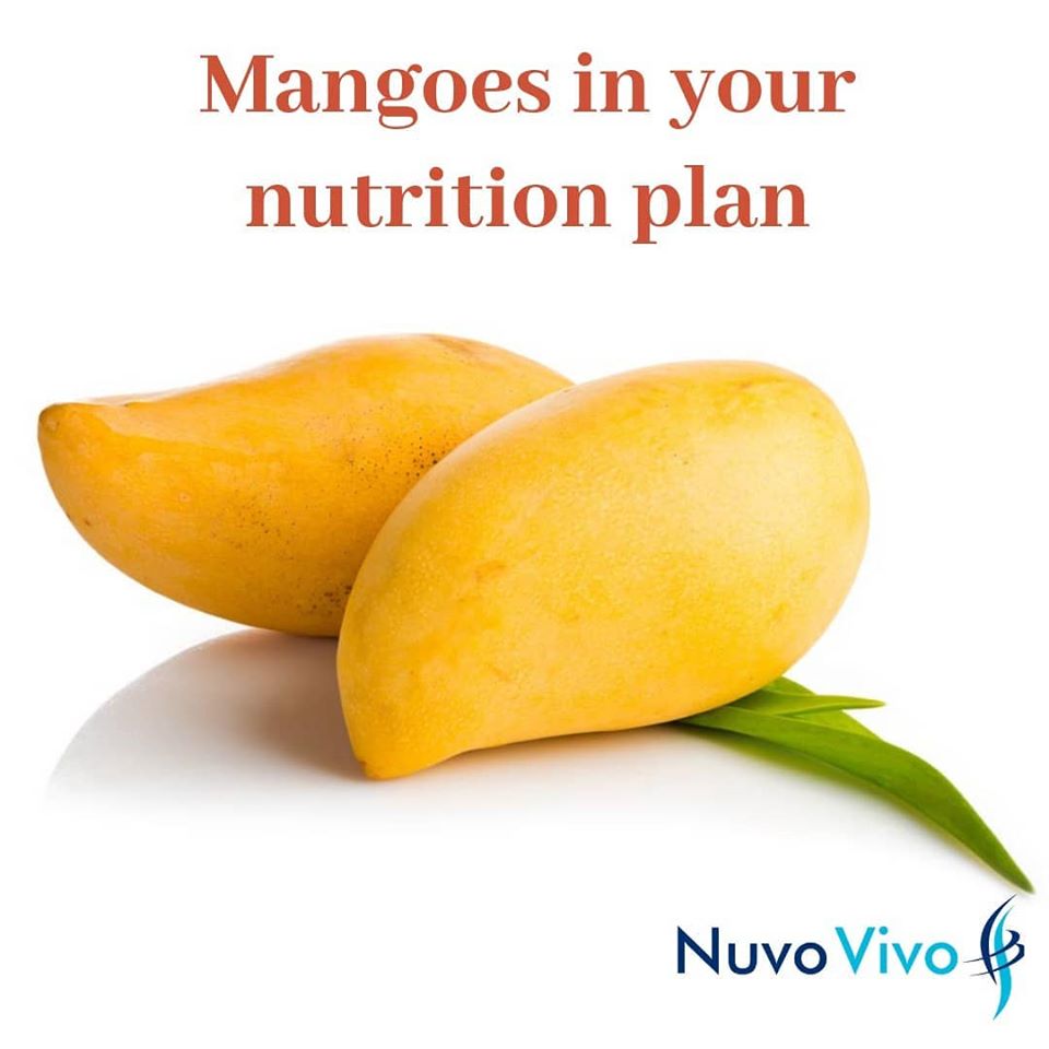 Mangoes-in-your-nutrition-plan