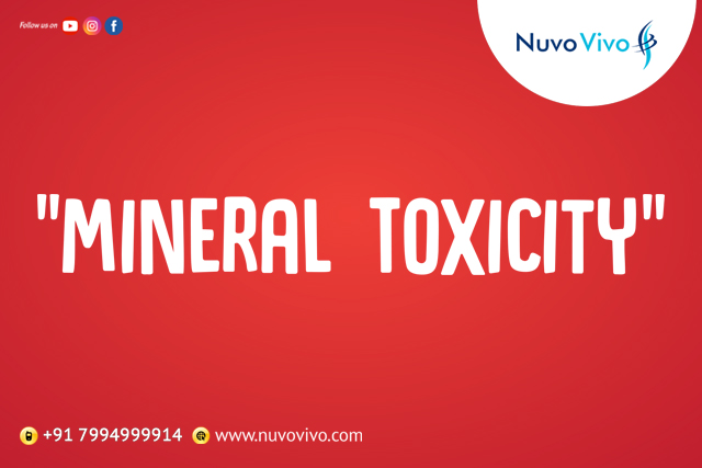 Read more about the article Mineral Toxicity