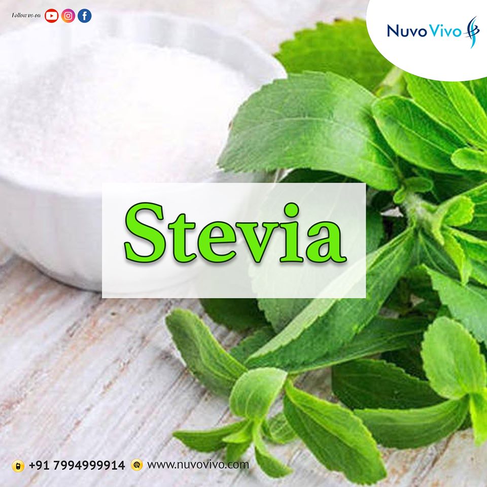 Stevia-a-sugar-substitute