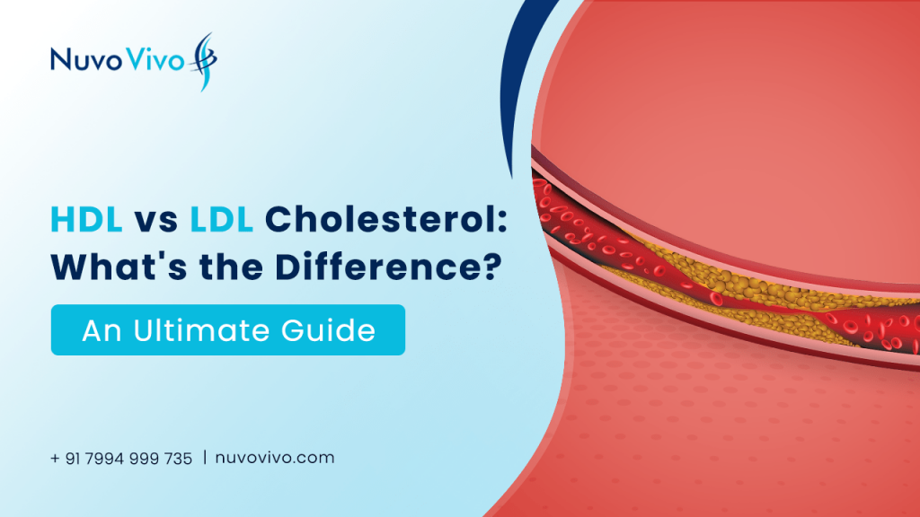 HDL-vs-LDL-Cholesterol-Whats-the-Difference-An-Ultimate-Guide