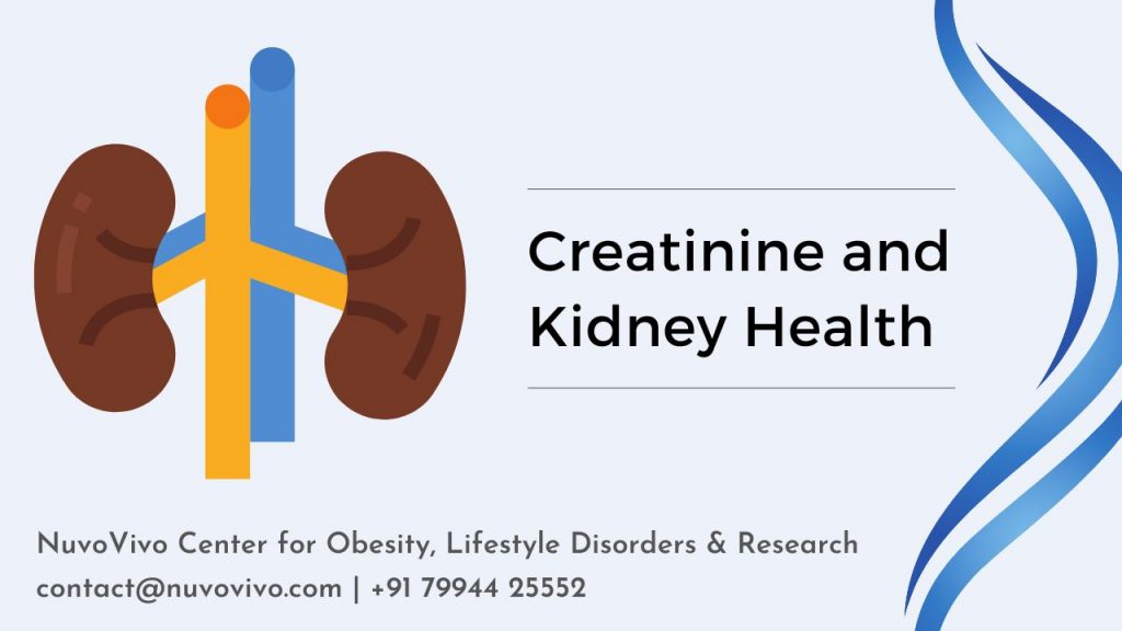 Creatinine-and-Kidney-Health-Kochi-Kerala
