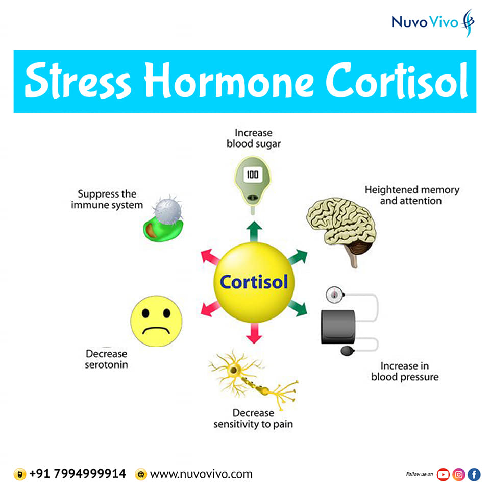 Cortisol and Weight Gain