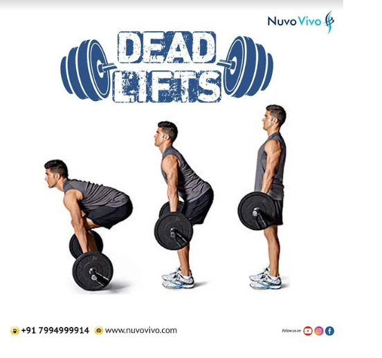 Dead Lifts Form