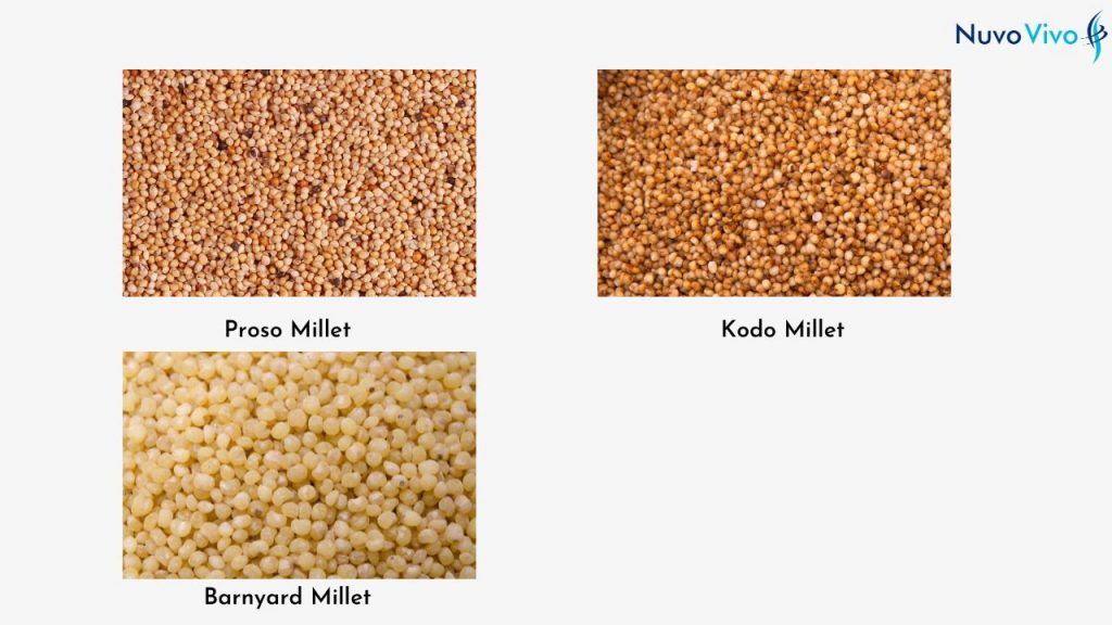 Different types of millet